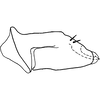 Pygofer, lateral view on Bonaspeia obtusistyla Davies, 1987: Pygofer, lateral view (holotype). (Observation).
