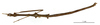 CollectionObject 1560914; 86784958-21d0-43b5-aa1a-ba2027c9d702: copyright MNHN, Paris. male, dorsal view (holotype). (CollectionObject).