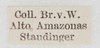 CollectionObject 1566601; c8b1dd2a-0010-4789-9b4d-643d7abdbc21: label (paralectotype). (CollectionObject).
