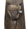 CollectionObject 1533183; 7be62e41-b2e9-450f-813a-e060cec74df2: male, stridulatory area in detail, dorsal view (holotype). (CollectionObject).