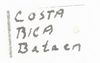 Other: !! display not done !! on Colpoptera marginalis Burmeister, 1835: (Observation).