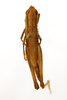 CollectionObject 1590217; 08462416-d742-4cc6-b48a-4773eebda620: female, dorsal view (paralectotype). (CollectionObject).