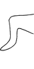 Anal tube processes: Anal tube processes. (Observation).