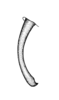 Anaulacomera (Anaulacomera) oaxacae Hebard, 1932: Plate 19, Fig. 4 (after type). male cercus, dorsal view. (Otu).