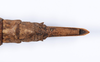 CollectionObject 1558667; 4c1283d3-5c69-48f0-907c-0a26541edf56: copyright ANSP. female: end of abdomen, dorsal view (paratype). (CollectionObject).;CollectionObject 1558668; 53b5e2cf-faaf-4cbc-9668-7322266d8aa3: copyright ANSP. female: end of abdomen, dorsal view (paratype). (CollectionObject).