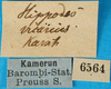 CollectionObject 1568340; e205bdff-a995-4541-9c90-1155db8d7b76: labels. (CollectionObject).