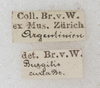 labels. Depicts CollectionObject 1565833; 41da46b0-9872-417b-b338-eab5d4a6f495, a CollectionObject.