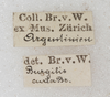 CollectionObject 1565833; 41da46b0-9872-417b-b338-eab5d4a6f495: labels. (CollectionObject).