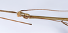 CollectionObject 1557024; 807ad312-522c-41ae-a2e9-14bcc76c50a7: copyright ANSP. male: head & thorax, lateral view (syntype). (CollectionObject).;CollectionObject 1557025; 9744693e-f103-4e3f-a20e-3ee15e4bff06: copyright ANSP. male of synonym Bostra jugalis: head & thorax, lateral view (syntype). (CollectionObject).