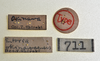CollectionObject 1558575; NTUC 711, 57cd386d-c046-4ad5-b21a-8850a429580d: copyright NTUC. female, data labels of Entoria okinawaensis (holotype). (CollectionObject).