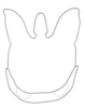 Pygofer, ventral view: (Observation).