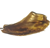 Pygofer, lateral view: !! display not done !! on Paraclorindaia pinguis Zahniser, 2021: female. (Observation).