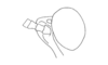 Vilerna aeneooculata (De Geer, 1773): Fig. 3. head, lateral view. (Otu).