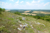 CollectionObject 1583665; 71950e14-a09b-4b2d-8fd1-4d88d2ecd145: habitat (BG: Kayryaka hill near village Sladun). (CollectionObject).