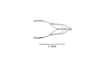 Abracris dilecta Walker, 1870: Fig. 1C´. ovipositor valves abd subgenital plates, ventral view. (Otu).