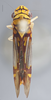 Habitus, dorsal view on Dilobopterus jemima (Distant, 1908): Dorsal. (Observation).