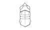 Zygoclistron superbum Rehn, 1907: Fig. 64. female head and pronotum, dorsal view. (Otu).