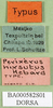 CollectionObject 1501147; 7399fed1-9acd-40c3-9b68-5fa7dff6c661, DORSA BA000582S01: labels (holotype). (CollectionObject).