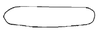 Subgenital plate, ventral view on Costanana circumaga DeLong & Wolda, 1983: Male: subgenital plate, ventral view. (Observation).