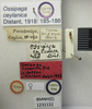 Ninus ceylanica (Distant, 1918): Ossipaga ceylonica. Lectotype. (BMNH) - (CC BY-NC 4.0) Photo by Stuart Cole, reproduced with permission from the Natural History Museum, London, UK. (Otu).