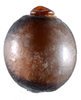 CollectionObject 1572588; 49274ae9-e414-43cc-9970-c0fe8d2a15dd: copyright ZSMC, Munich. egg, lateral view (paratype). (CollectionObject).