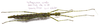 CollectionObject 1584618; 501e40aa-6fbf-401f-ac0b-7317c38eb894: (CollectionObject).