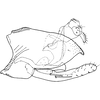 Pygofer, lateral view on Czarnastopa niepewna Dworakowska, 2011: Pygofer (C. niepewna). (Observation).