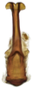 Aedeagus, ventral view: !! display not done !! on Faltala Oman, 1938: caudal view. (Observation).