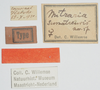 CollectionObject 1516352; 4b2c86d3-cd63-4e68-87cf-c3933ecd1a2d: labels. (CollectionObject).