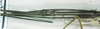 CollectionObject 1561647; d3dd7403-0197-4ef8-b407-137f6e5b8fa8: copyright MNHN, Paris, Pantel coll. female: head and thorax, lateral view (syntype). (CollectionObject).