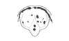 Leptomerinthoprora brevipennis Rehn, 1905: Fig. 2. male, tenth abdominal tergite and supraanal plate. (Otu).