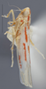 Habitus, lateral view: !! display not done !! on Dikrella (Dikrella) cruentata (Gillette, 1898): Lateral. (Observation).