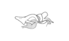 Roppacris griseipes Amédégnato & Descamps, 1979: Fig. 94. endophallus, lateral view. (Otu).