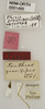 CollectionObject 1529799; 0bc3f158-e79d-4a64-bfc5-710c998a0f19: labels (lectotype). (CollectionObject).