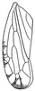 Forewing: !! display not done !! on Menosoma cinctum (Osborn & Ball, 1898): forewing. (Observation).