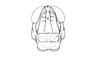 Dichroplus intermedius Ronderos, 1976: Fig. 17. female, head, frontal view. (Otu).
