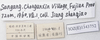 CollectionObject 1543992; bea44e42-c81c-4b92-9717-8b3cec5886c5: labels. (CollectionObject).