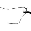 Pygofer, lateral view on Exitianus kumaonis (Baker, 1925): (Observation).