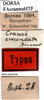 CollectionObject 1505378; fc3d23ee-c6b5-43f7-b0a7-3851a26718c4: labels (holotype). (CollectionObject).