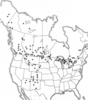 distribution. Depicts Chloealtis abdominalis (Thomas, 1873), an Otu.