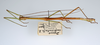 CollectionObject 1557316; ef8f46dd-15ca-4ae9-809c-7fa67f2aa06a: copyright ZMUH, Hamburg. male, lateral view (holotype). (CollectionObject).