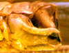 CollectionObject 1543660; a8c5c207-6359-44d2-a281-7b1f779ddbf4: male abdomen tip, latero-ventral view (holotype). (CollectionObject).