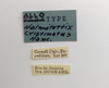 CollectionObject 1525562; d9278fee-3b3d-4547-b6a1-1df92c139ca4: labels. (CollectionObject).