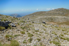 CollectionObject 1598771; 6c4b5992-b4ab-4507-a440-5dfcc1c2975c: habitat. (CollectionObject).