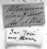 CollectionObject 1506196; 7a07c4b8-dd83-47f7-9982-b131f05bf663: Image Carbonell, C.S. labels (syntype). (CollectionObject).