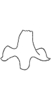 Connective: Connective (E. tripunctatus). (Observation).