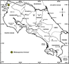 Metacaputus brenesi Naskrecki, 2000: map. (Otu).