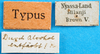 CollectionObject 1501289; 838544be-f956-4edd-998d-b5a0ef908693: labels (holotype). (CollectionObject).