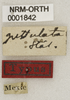 CollectionObject 1529776; 6cb2042f-4168-4eb6-8fb9-d4632b3a9beb: labels (holotype). (CollectionObject).