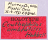 CollectionObject 1499252; c86d1fe8-3a5e-49f1-9e23-45142ea53f39: labels (holotype). (CollectionObject).